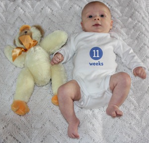 11Weeks