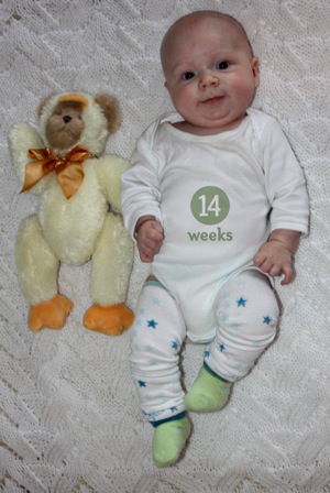 14Weeks