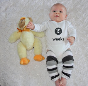 15Weeks