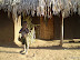 Malawiaans huis met inwoner