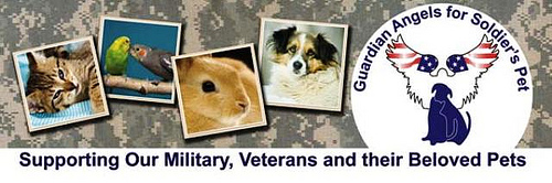 Guardian Angels, Pet Setters.