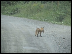 2010-8-10 Matane 010