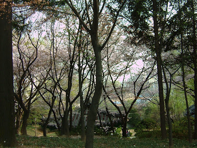 노량진 사육신공원 정경 [노량진,공원,사육신공원,noryangjin,sayuksin park]