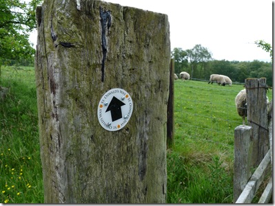 Rothbury walk 2 006