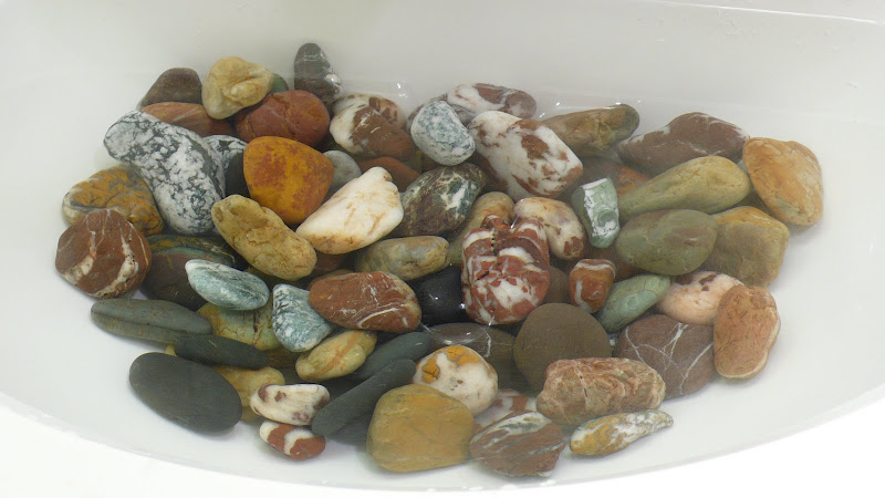 beach rocks I collected