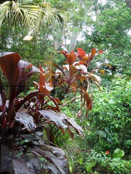 [Nara Guichon_vista[5].jpg]