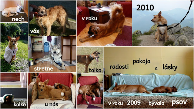 PF 2010