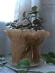 p001.jpg