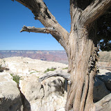 IMG_9186.JPG