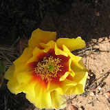 IMG_9197.JPG