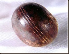clip_image001