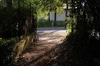 Stillleben mit Fahrrad und Herbstlaub