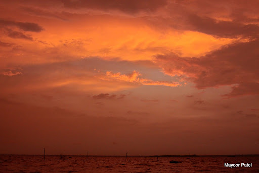 Seth Armstrong картины о простой жизни