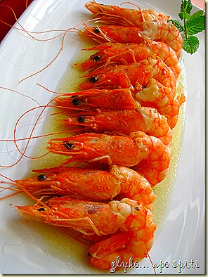 IMG_1093 IMG_1093