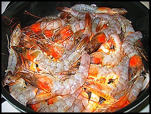 IMG_1089 IMG_1089