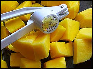 SV104409 SV104409