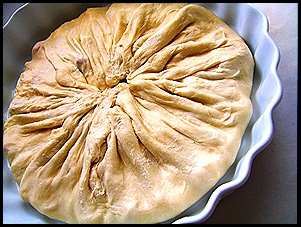 SV104541 SV104541