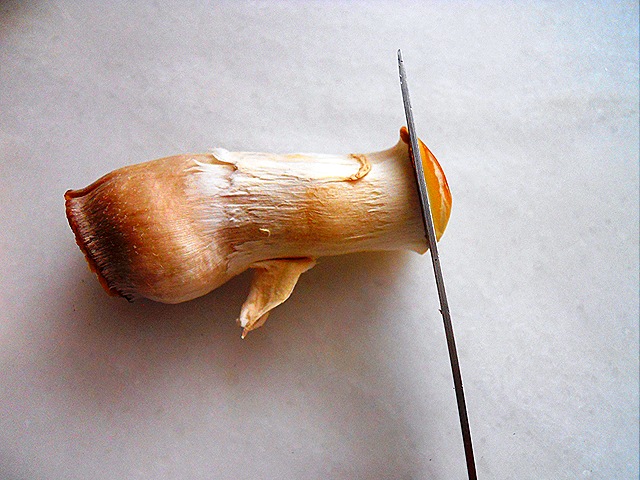 [DSCN22695.jpg]