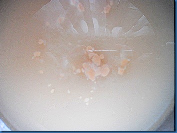 DSCN2880 DSCN2880