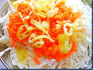 DSCN2484 DSCN2484