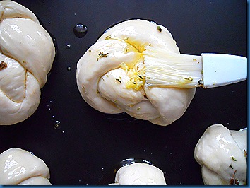 DSCN3437 DSCN3437