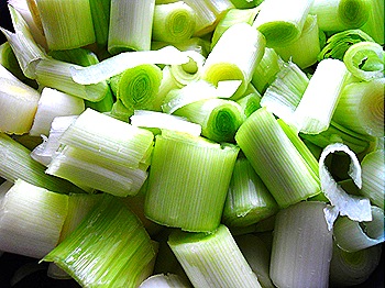 DSCN3704 DSCN3704