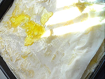 DSCN4487 DSCN4487