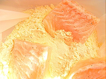 DSCN5074 DSCN5074