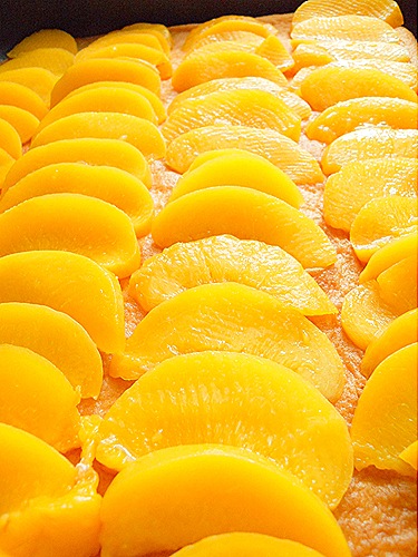 DSCN6949 DSCN6949