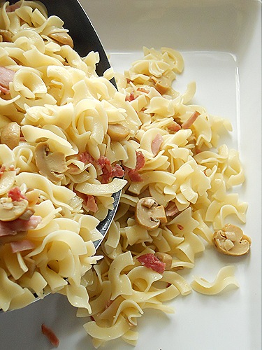 DSCN7966 DSCN7966