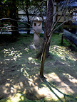 Moss garden