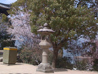 Lantern - Miyajima Island (iPhone photo)