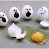 eggs5.jpg