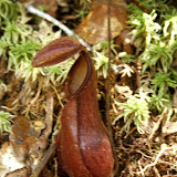 _MG_5762.jpg