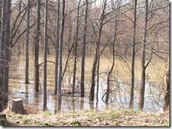 SanDee and High Water 03-12-11 007