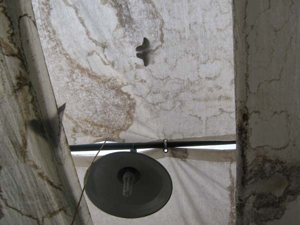 [IMG_21833.jpg]
