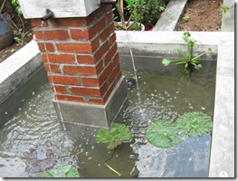 sikolam