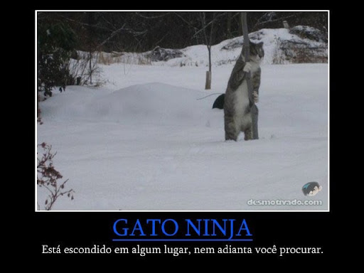 http://lh3.ggpht.com/_ClHvdgYL-sM/TFhlBiHMzPI/AAAAAAAAAFQ/Fz-kMztl1ik/OgAAAG7NL1-pukwHWRvW2IYQ9qwWupJNqll_y2vDf0ojiU9aGfT1iI2T7nLt2sKEpAdlWrzK8WAGwuFBdsyvF3xSh5kAm1T1UD-r55O9eF8P6totjcxISSGm2J1F.jpg