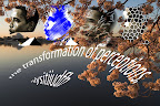thetransformationofperceptions copy.jpg