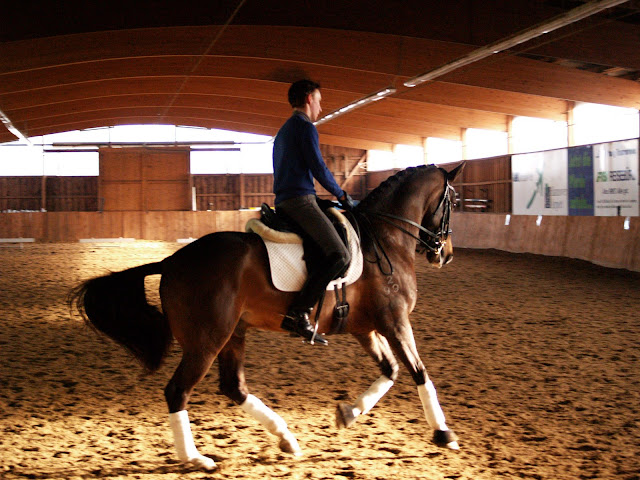 Reitsport Engelke. Foto Gijs van Hesteren