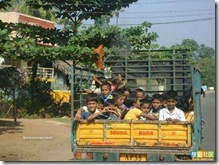 school_buses02