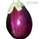 [eggplant[2].jpg]