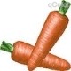 [carrot[2].jpg]