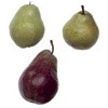 [pear[2].jpg]