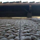 CRW_4023.jpg