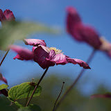CRW_6071.CRW