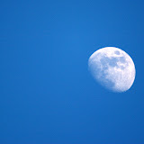 CRW_5671.jpg