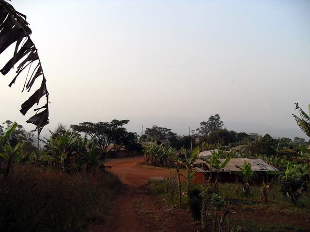 [SDC107659.jpg]