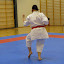 Tenshinkan Dm. 2011