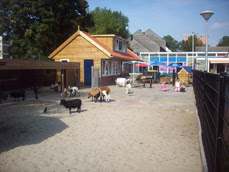 vernieuwde-kinderboerderij.jpg